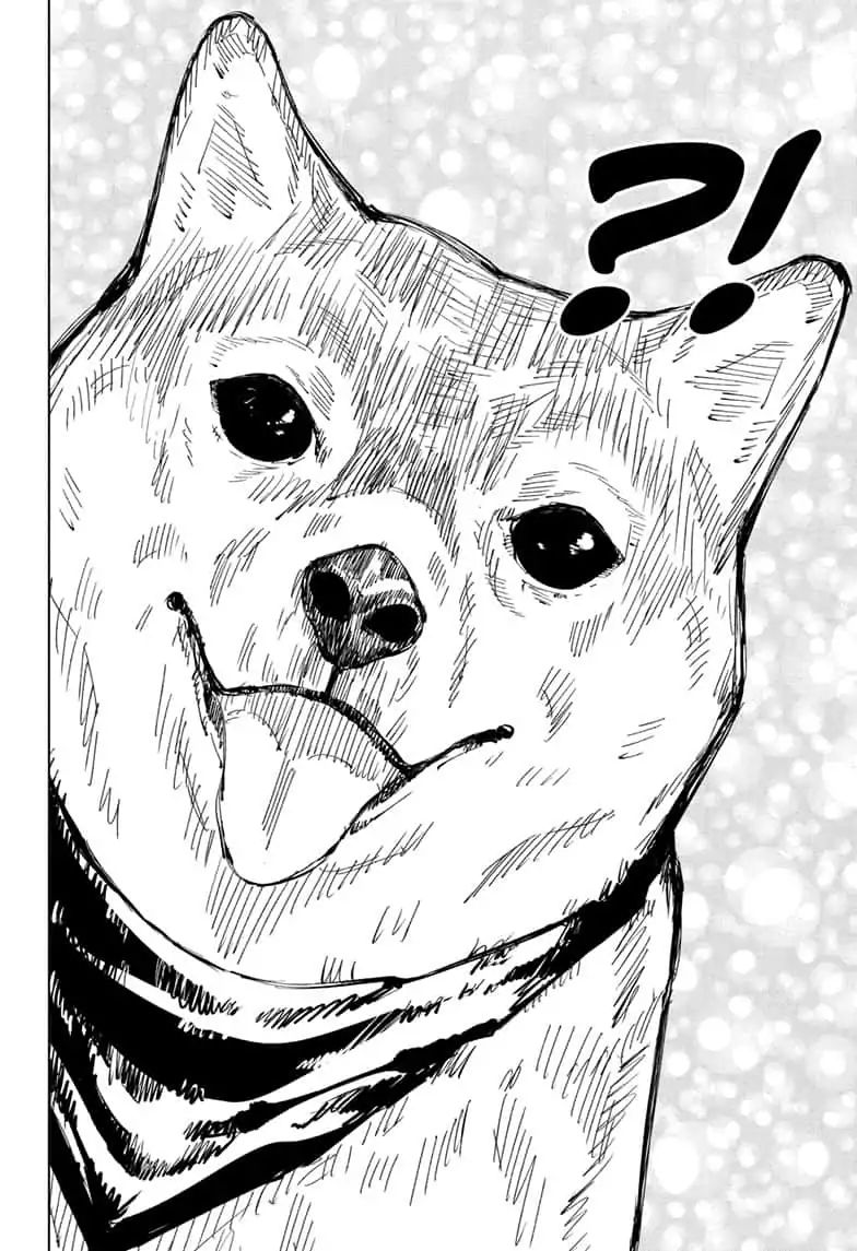 Jujutsu Kaisen Chapter 68 image 12